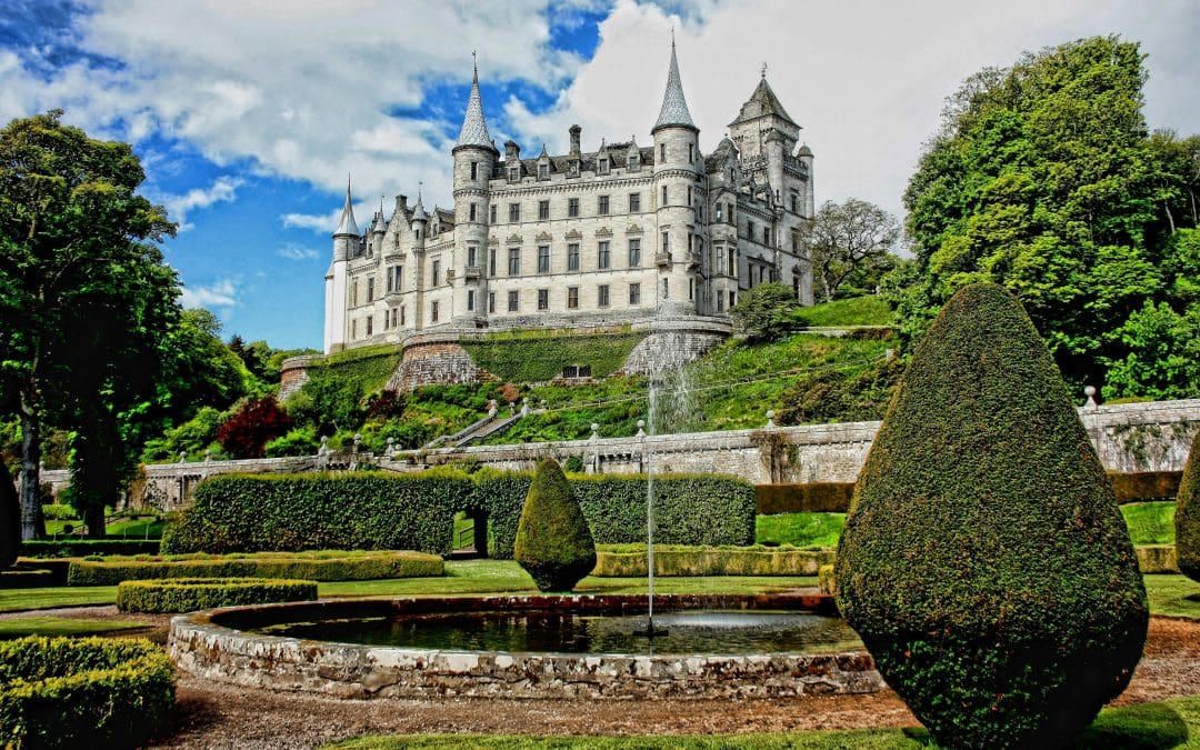 Summer Statement: Adding a Water Feature to Your Garden