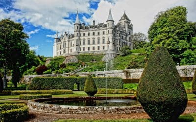 Summer Statement: Adding a Water Feature to Your Garden